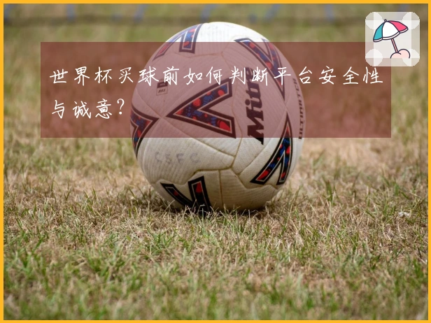 世界杯买球前如何判断平台安全性与诚意？