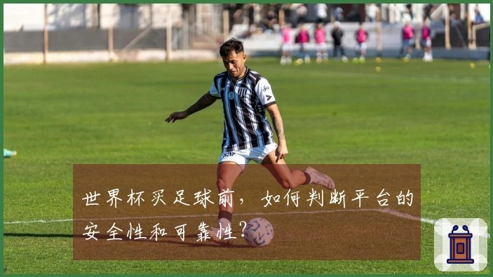 世界杯买足球前，如何判断平台的安全性和可靠性？