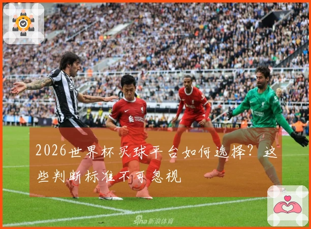 2026世界杯买球平台如何选择？这些判断标准不可忽视