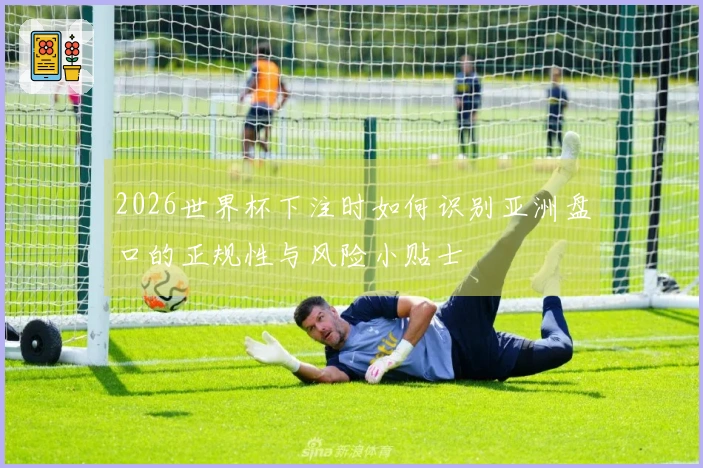 2026世界杯下注时如何识别亚洲盘口的正规性与风险小贴士