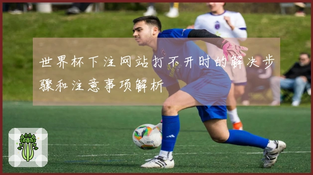 世界杯下注网站打不开时的解决步骤和注意事项解析
