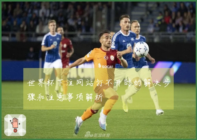 世界杯下注网站打不开时的解决步骤和注意事项解析