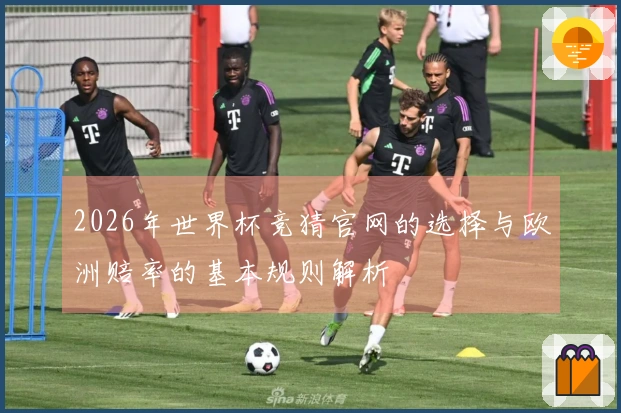 2026年世界杯竞猜官网的选择与欧洲赔率的基本规则解析